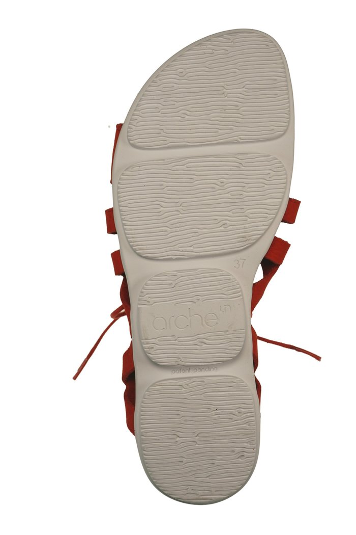 Palmoy Timber coclico