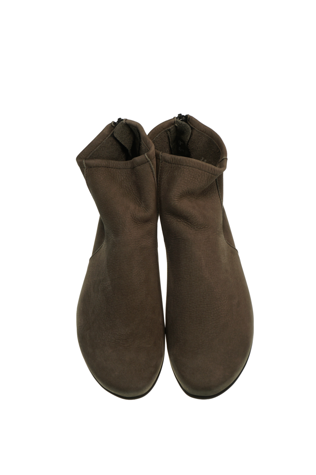 Baryky Hunter castor