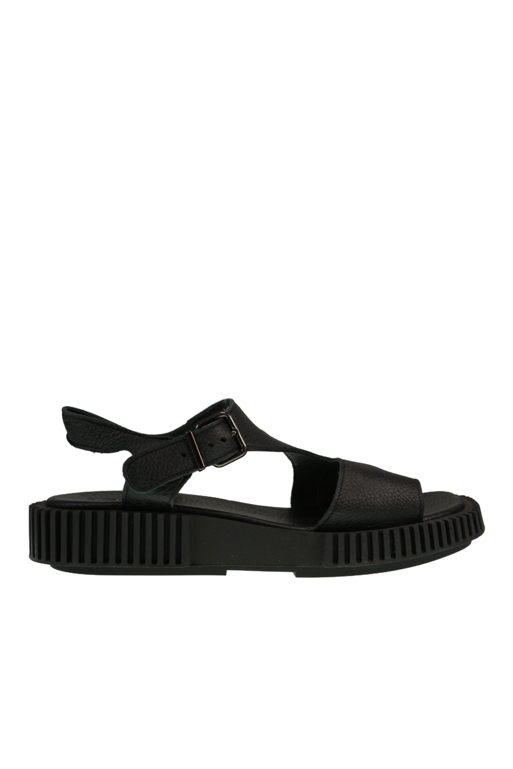 Ixolla noir