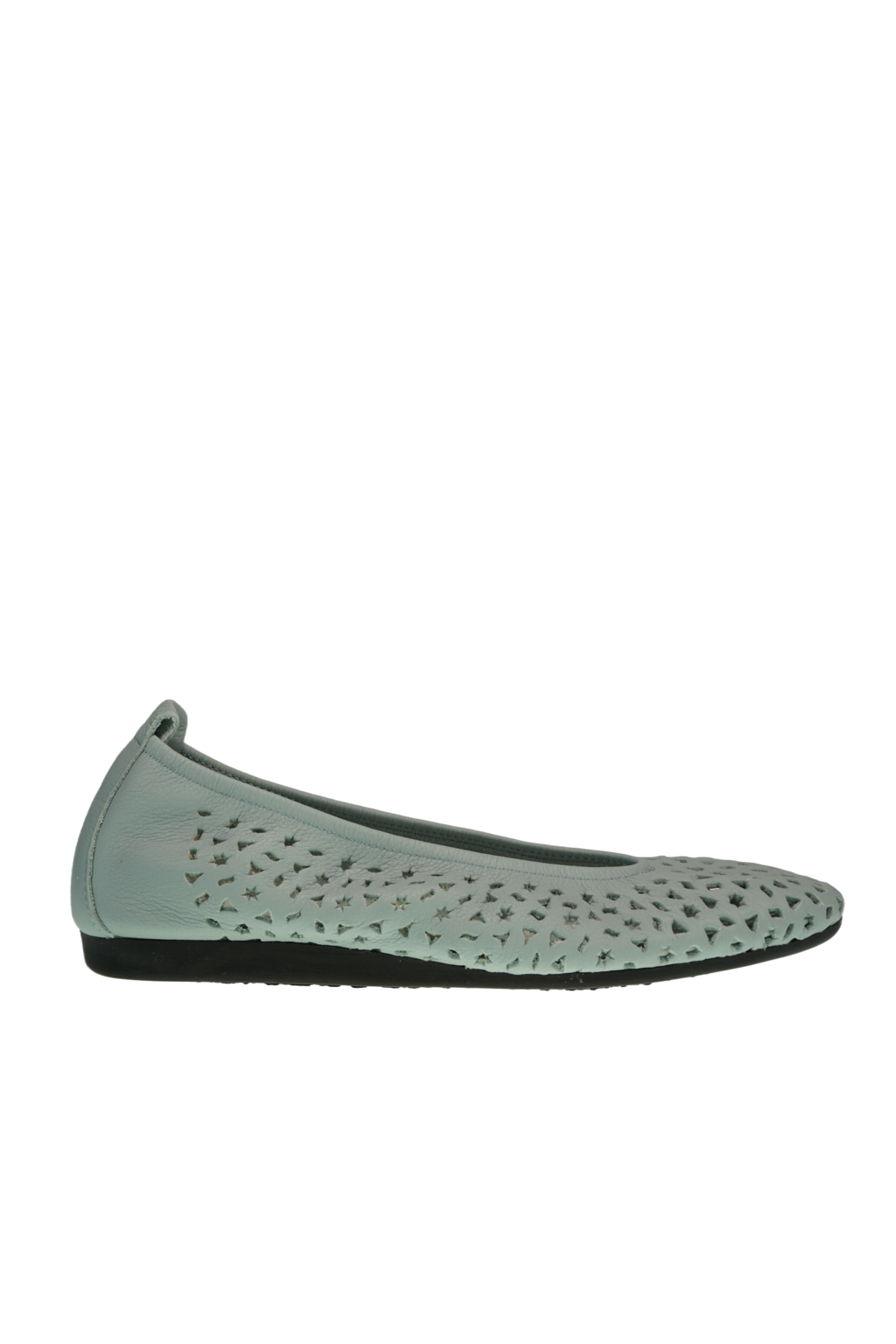 lilly-lumi-arena