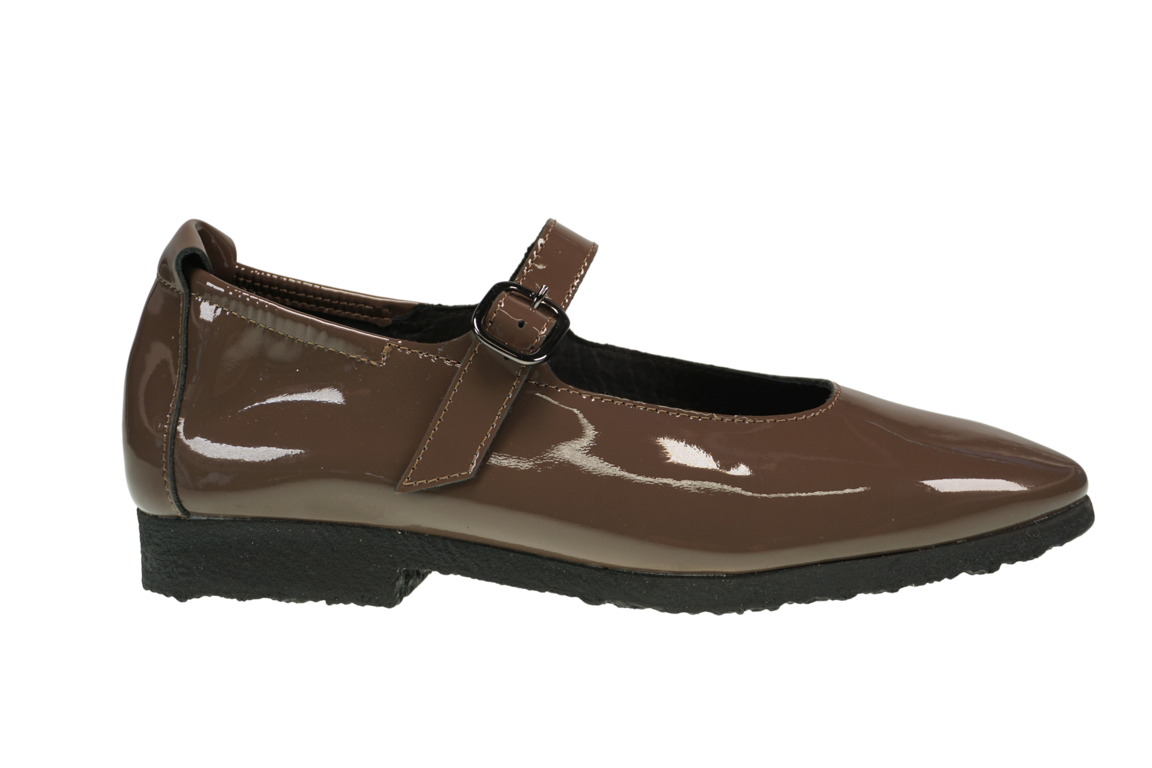 Sadbaa Laekeo chestnut