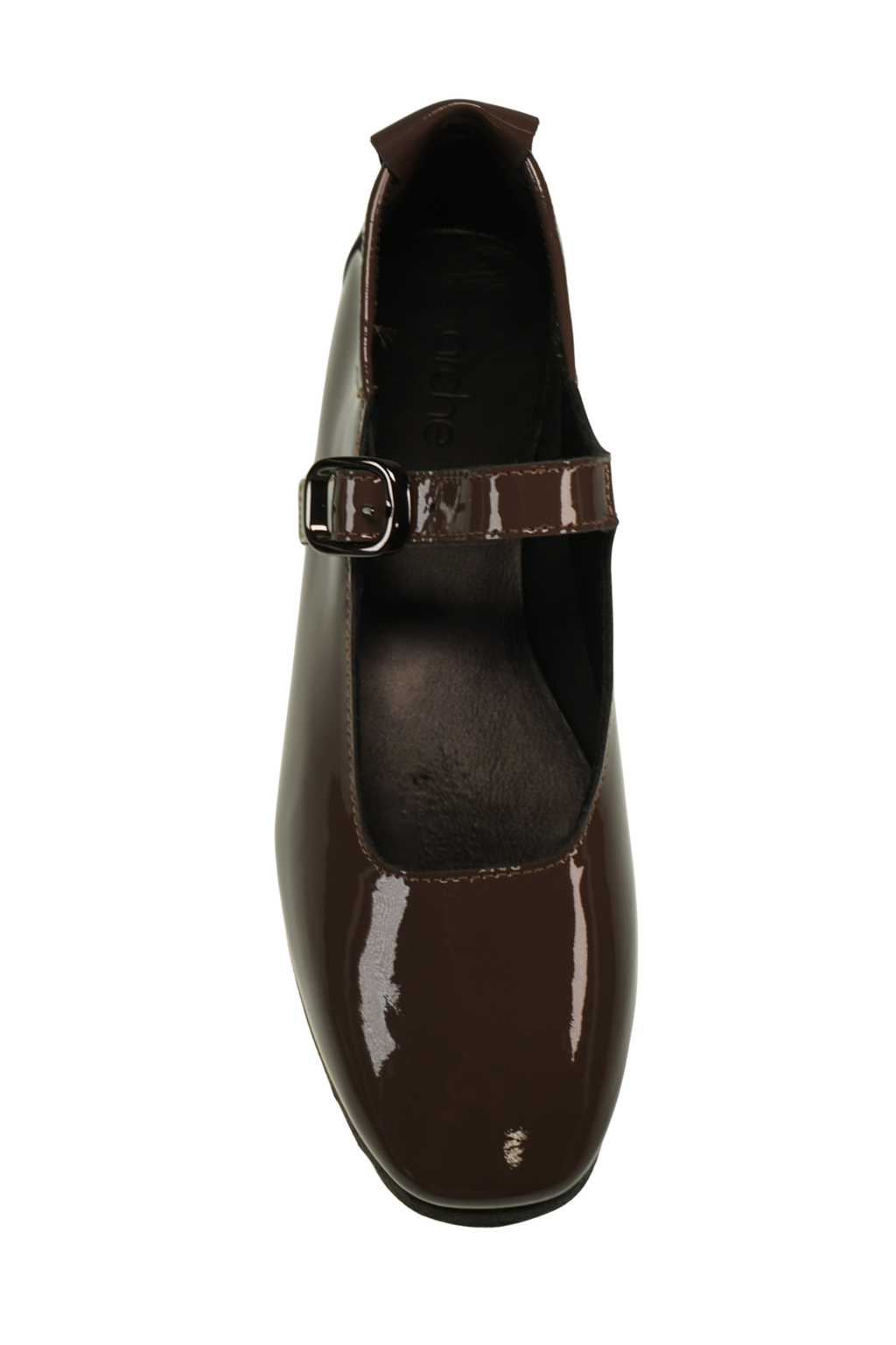 Sadbaa Laekeo chestnut