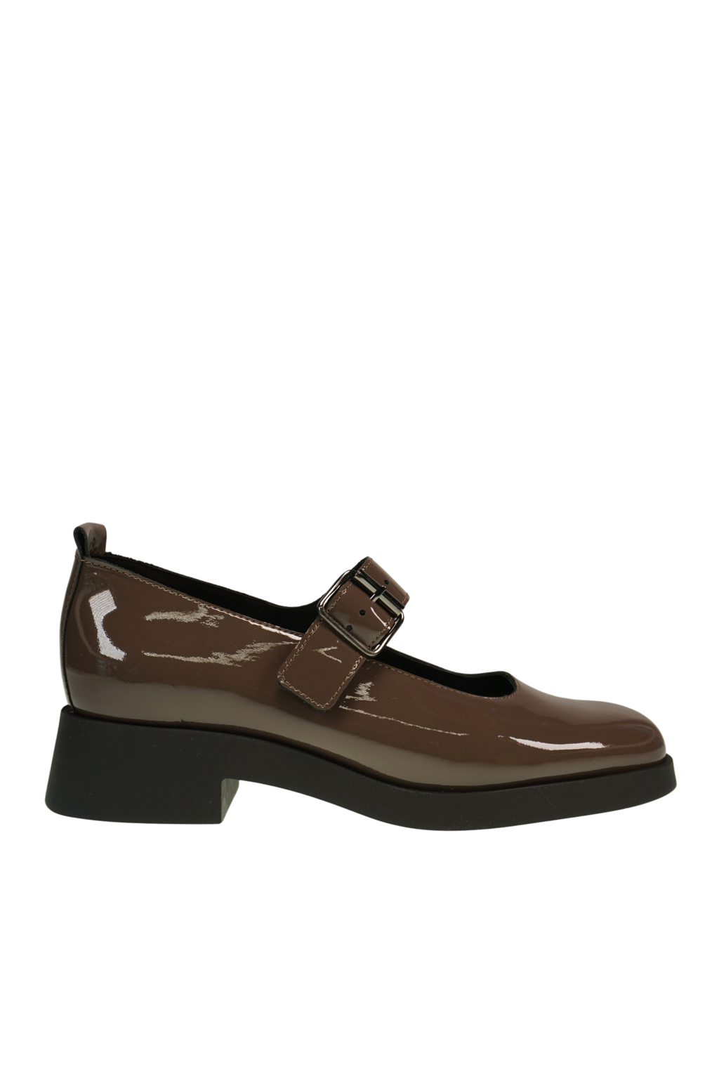 Tainaa Laekeo chestnut