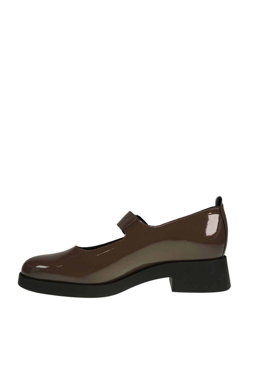 Tainaa Laekeo chestnut