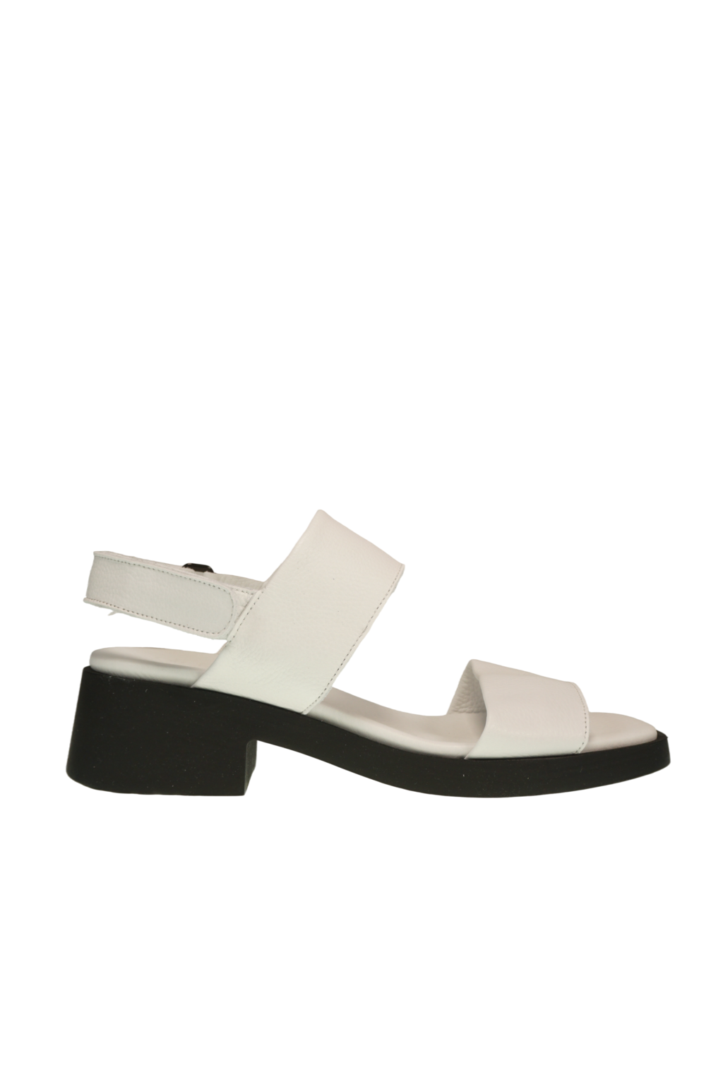 taybel-rocky-blanc