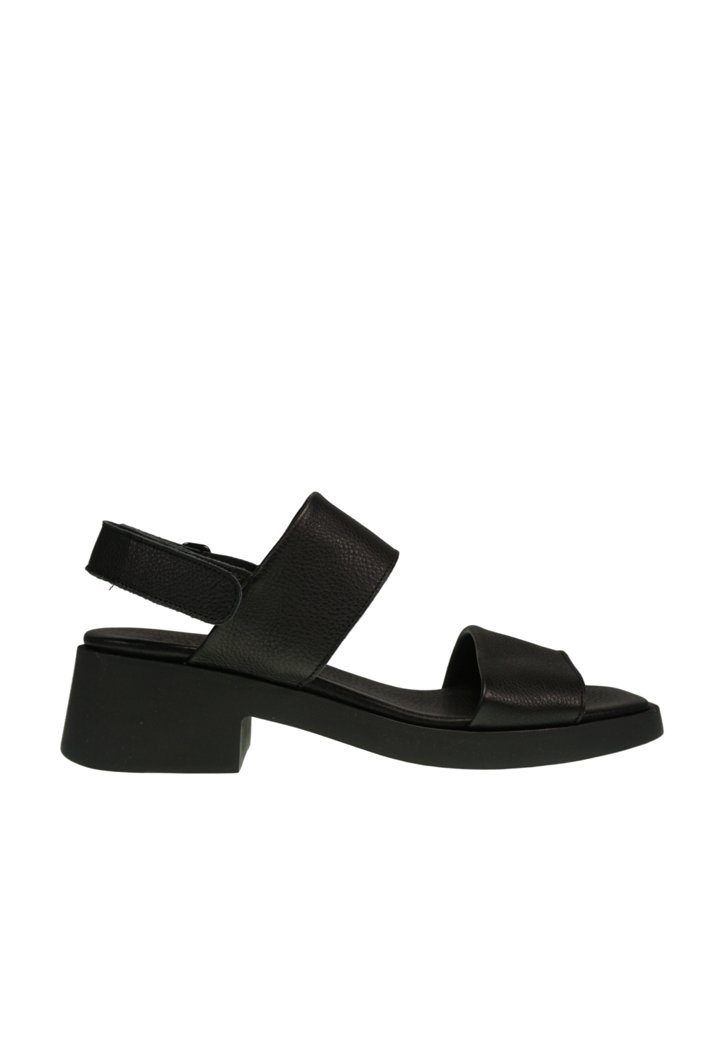 Taybel Rocky noir